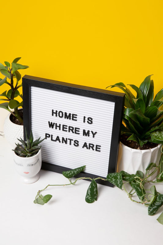 The Importance of Home Fragrance and Why You Should Care