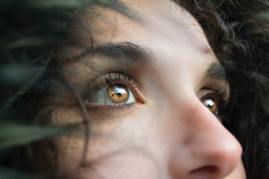How the Nose Works and Why It Matters
