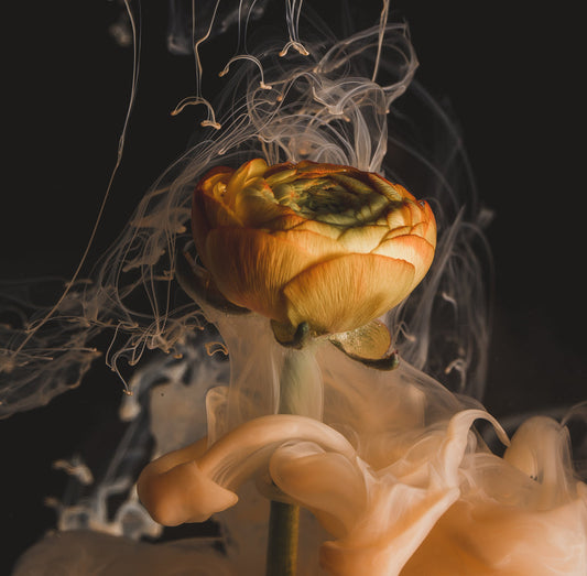 The Importance of Scent Marketing