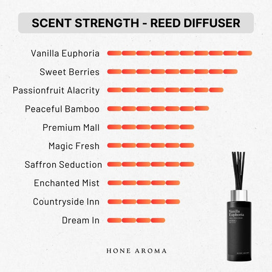 Premium 100ml Black Reed Diffuser