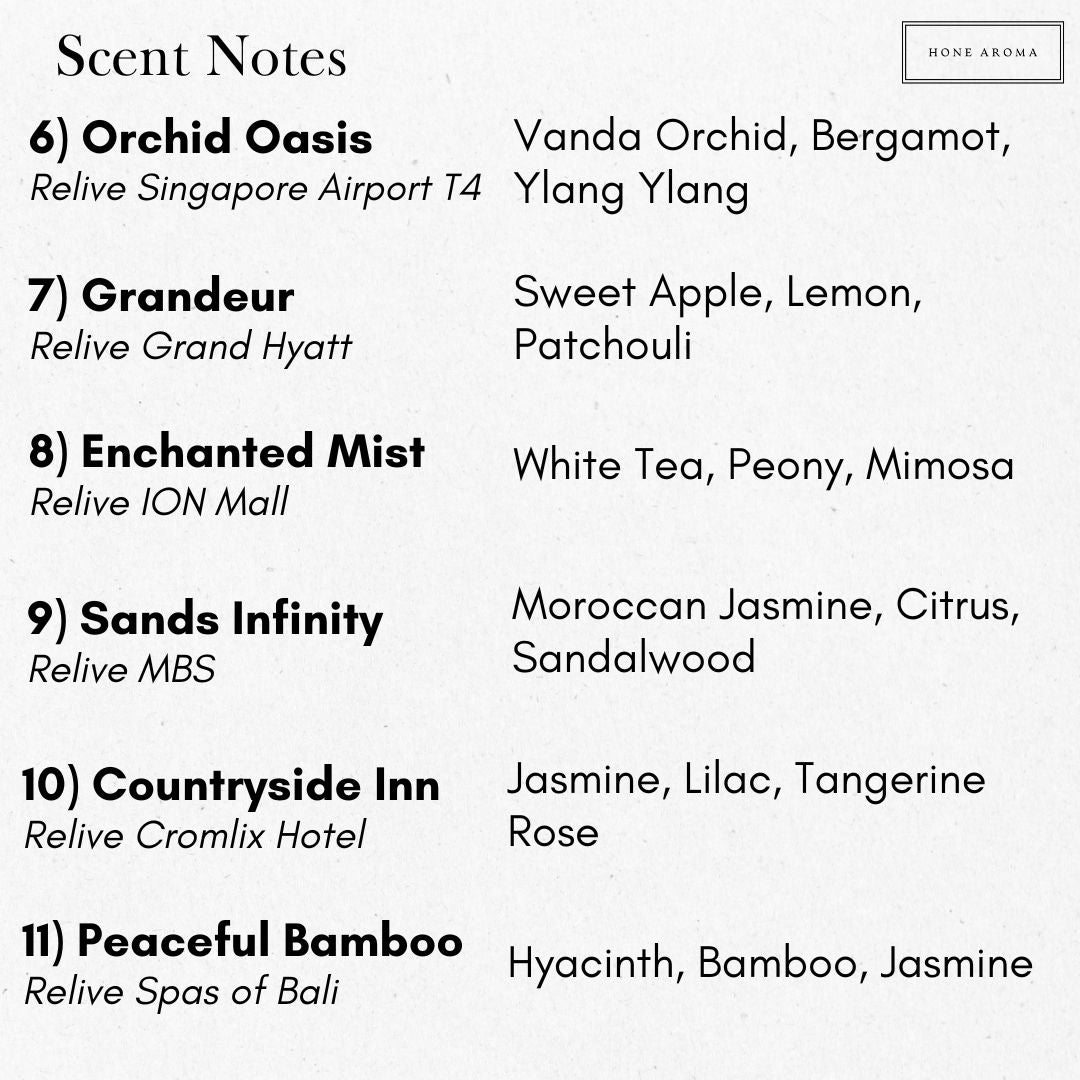 Premium 100ml Black Reed Diffuser