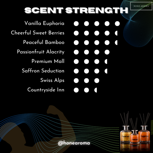 Reed Diffuser 500ml Refill w/ FREE 5x Reed Sticks