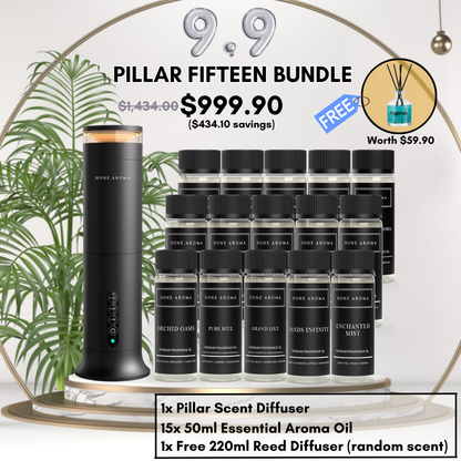 *9.9* Pillar Fifteen Bundle (with free gift)