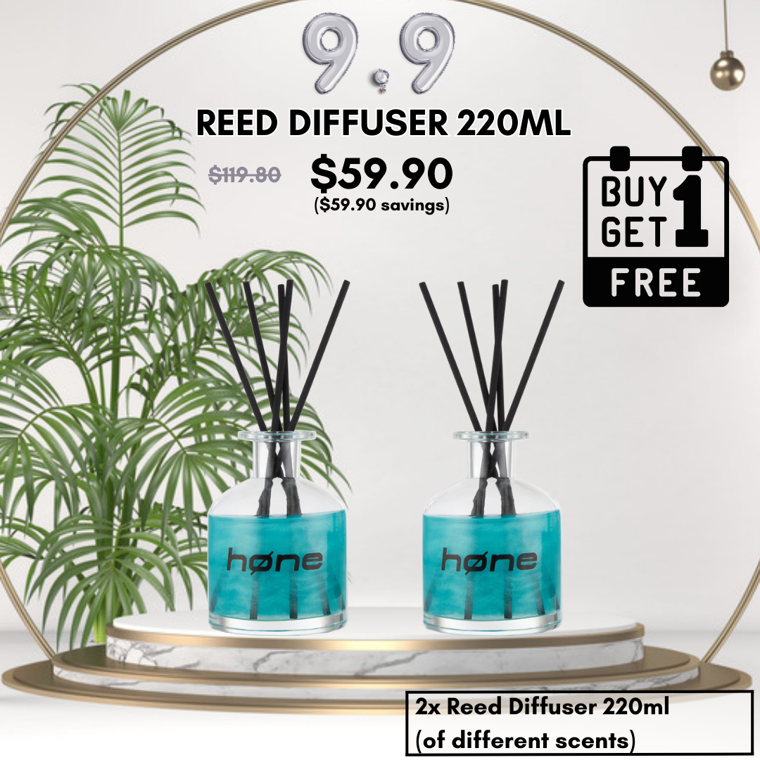 *9.9* Reed Diffuser Buy 1 Free 1 Bundle